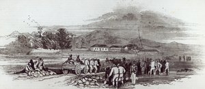 Île Norfolk, tiré de 